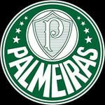 Palmeiras Store